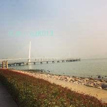 ѡ
